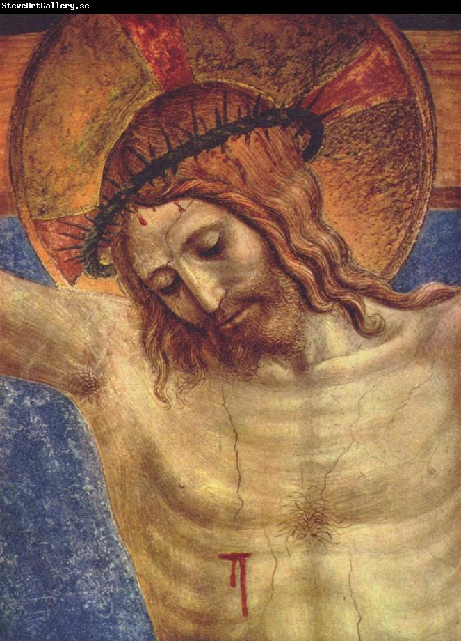 Fra Angelico The Crucified Christ